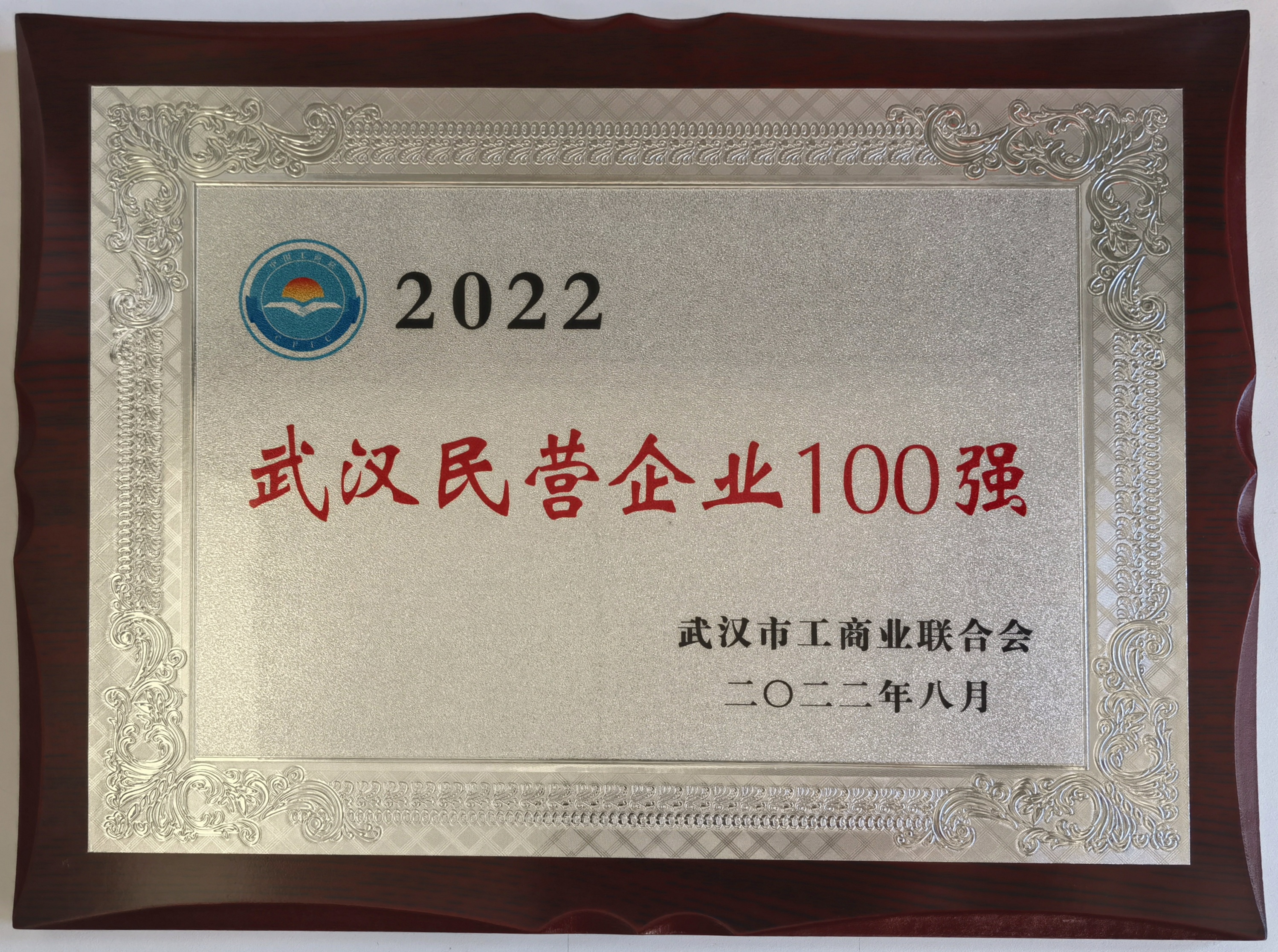 2022武汉民营企业100强